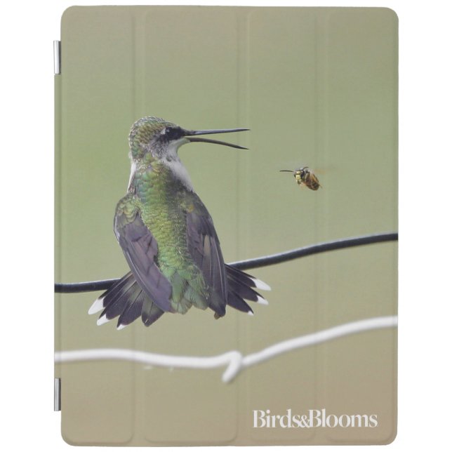 Hummingbird & Honey Bee iPad Smart Cover (Front)