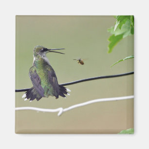 Hummingbird & Honey Bee Magnet