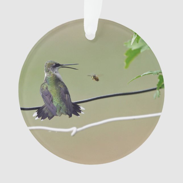 Hummingbird & Honey Bee Ornament (Front)