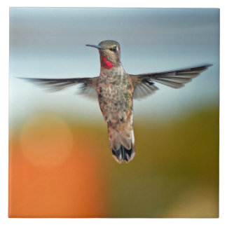 Hummingbird hovering ceramic tile