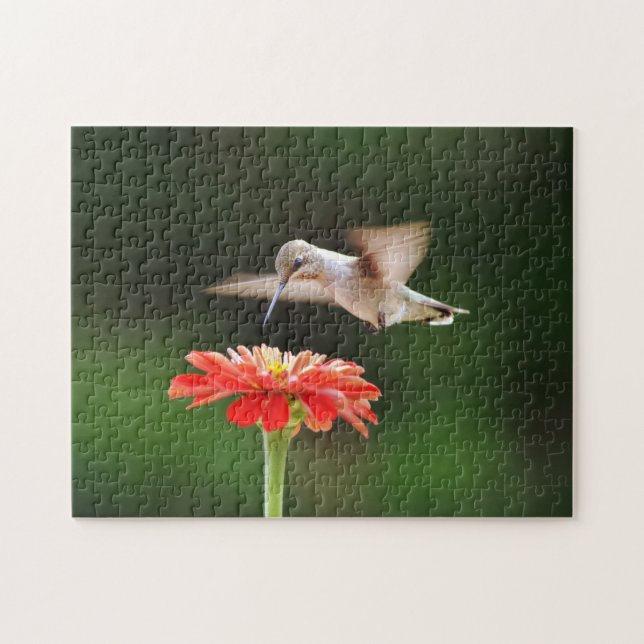 Hummingbird Hovering Over Red Flower Puzzle (Horizontal)