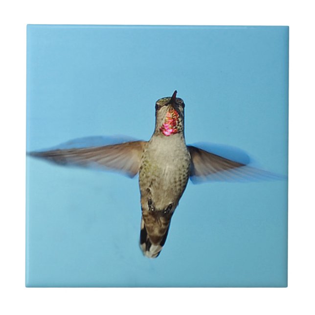 Hummingbird hovering tile (Front)