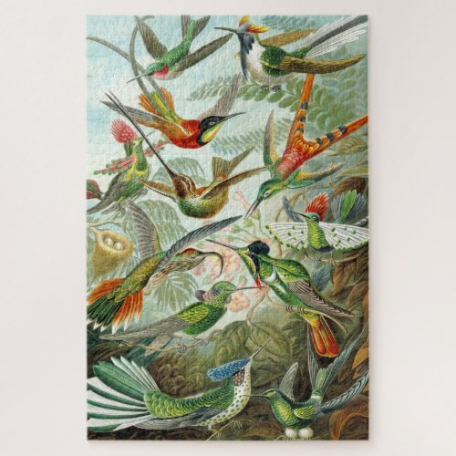 Hummingbird illustrations 1899 Ernst Haeckel Jigsaw Puzzle