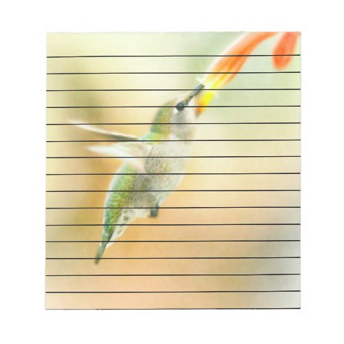 Hummingbird in Early Morning light Notepad
