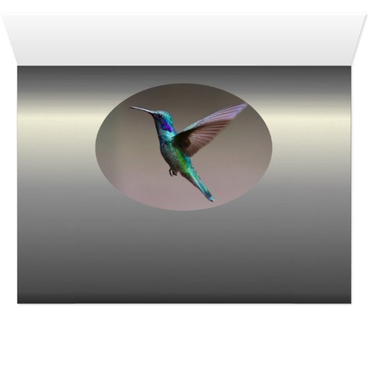Hummingbird in Flight (Inside Horizontal (Bottom))