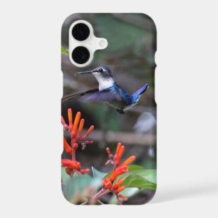 Hummingbird in Flight and Red Flowers iPhone 17 Case