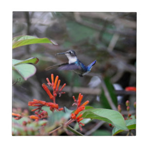 Hummingbird in Flight and Red Flowers Ceramic Tile