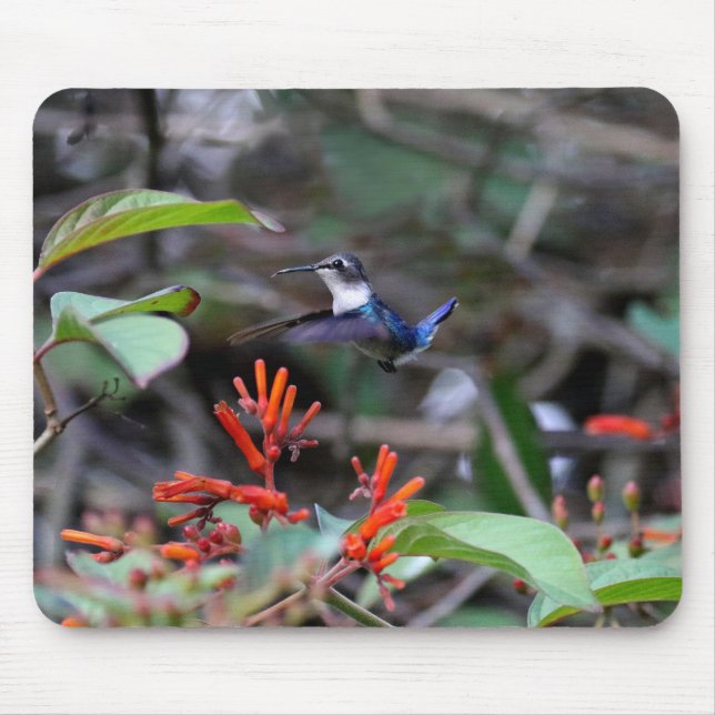 Hummingbird in Flight and Red Flowers Mouse Pad (Front)