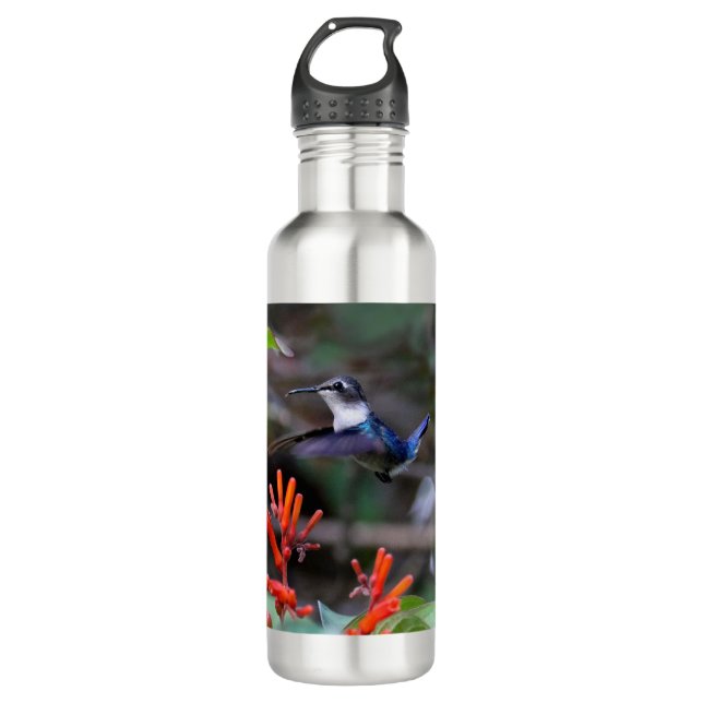 Hummingbird in Flight and Red Flowers Stainless Steel Water Bottle (Front)