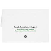 Hummingbird in Flight - Cards (Back Horizontal)