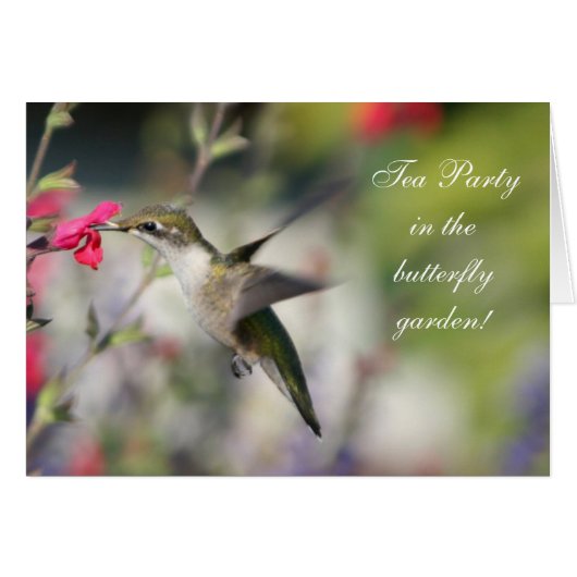 Hummingbird in Flight Cards (Front Horizontal)