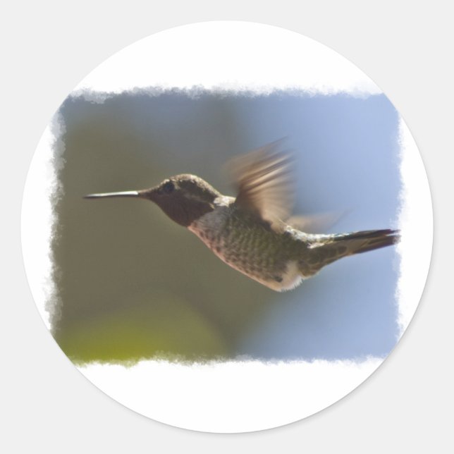 Hummingbird in Flight Classic Round Sticker (Front)