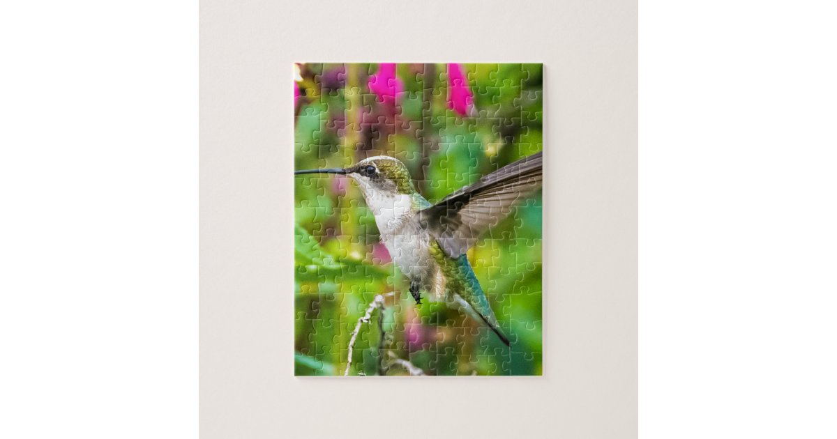 Hummingbird in Flight Jigsaw Puzzle | Zazzle