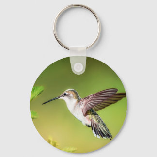 Hummingbird in flight keychain