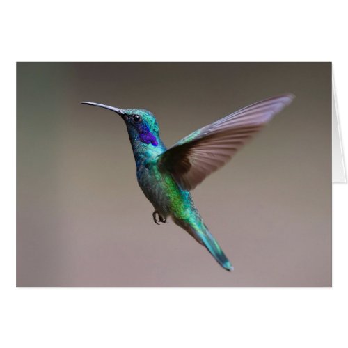 Hummingbird In Flight Note Card
