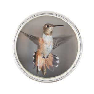 Hummingbird In Flight Pin