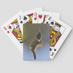 Hummingbird in Flight Poker Cards
