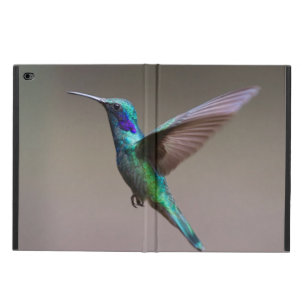 Hummingbird in Flight Powis iPad Air 2 Case