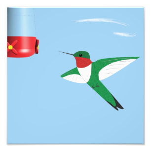Hummingbird in Flight print
