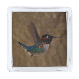 Hummingbird in Flight Silver Finish Lapel Pin