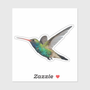 Hummingbird in Flight Sticker