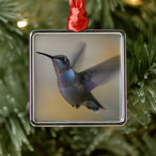 Hummingbird In Flutter Metal Ornament
