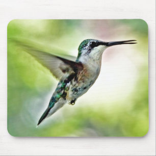 Hummingbird In Mid Air Mouse Pad