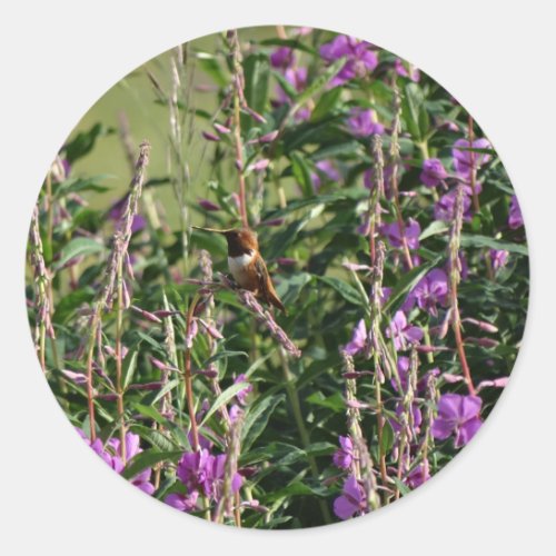 Hummingbird in Purple Classic Round Sticker