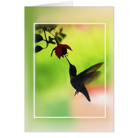 Hummingbird In Silhouette (Front)