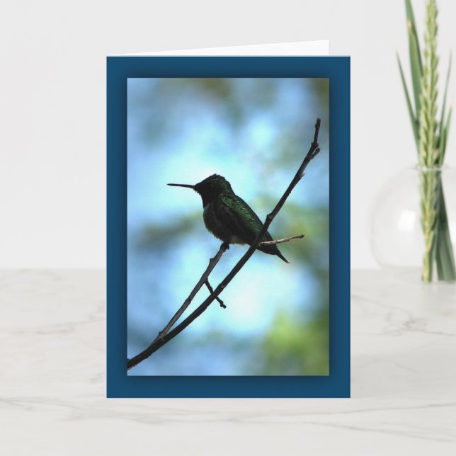 Hummingbird in Silhouette Card (Front)