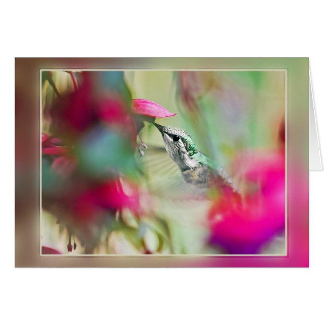 Hummingbird in Soft Fuchsia Cards (Front Horizontal)