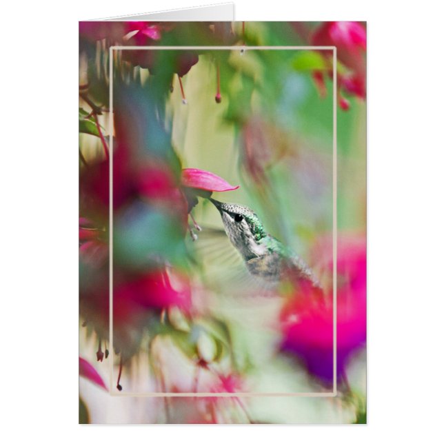 Hummingbird in Soft  Fuchsia Vertical. Cards (Front)
