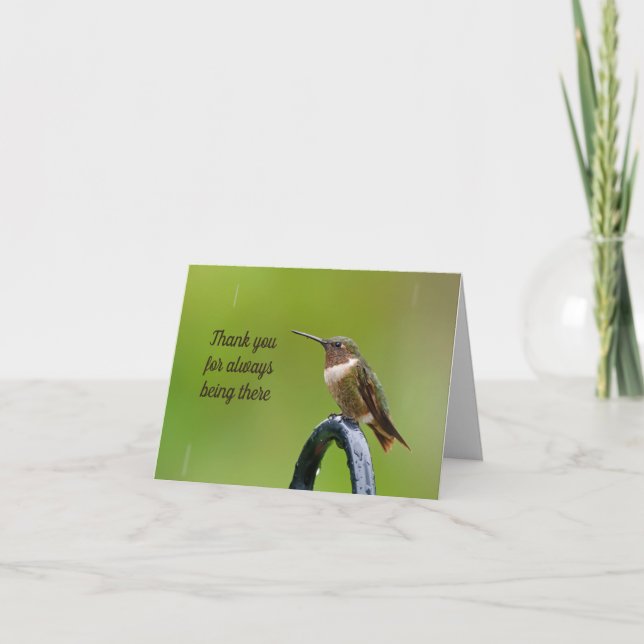 Hummingbird in the Rain Thank you Sympathy Card (Front)