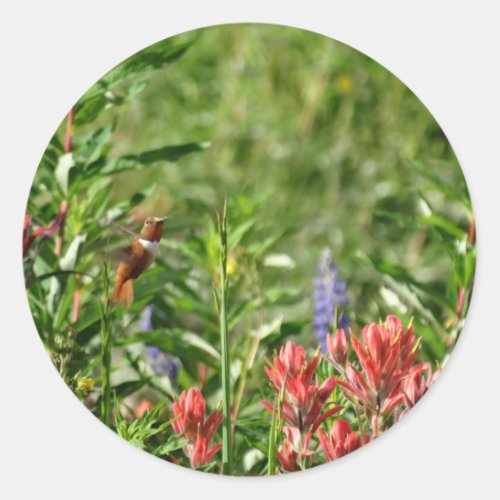 Hummingbird in wild flowers classic round sticker