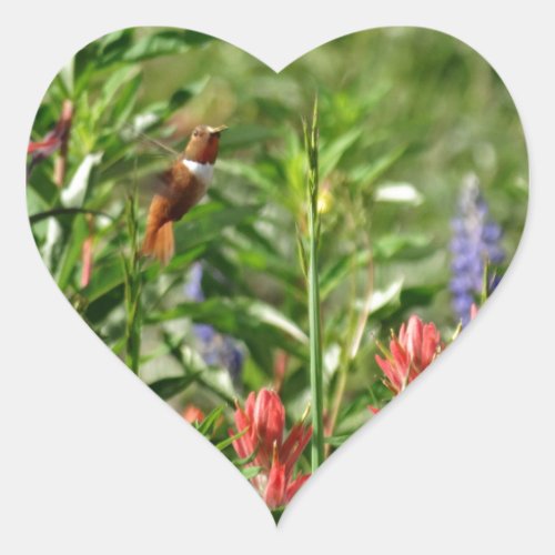 Hummingbird in wild flowers heart sticker