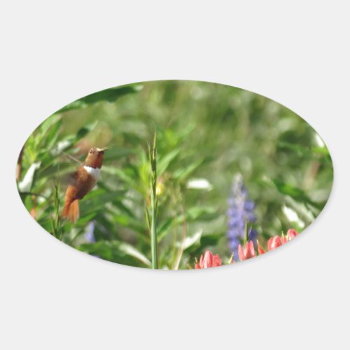 Hummingbird in wild flowers oval sticker