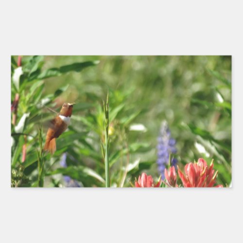 Hummingbird in wild flowers rectangular sticker