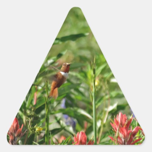 Hummingbird in wild flowers triangle sticker