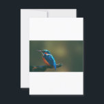 Hummingbird Invitation<br><div class="desc">Hummingbird</div>