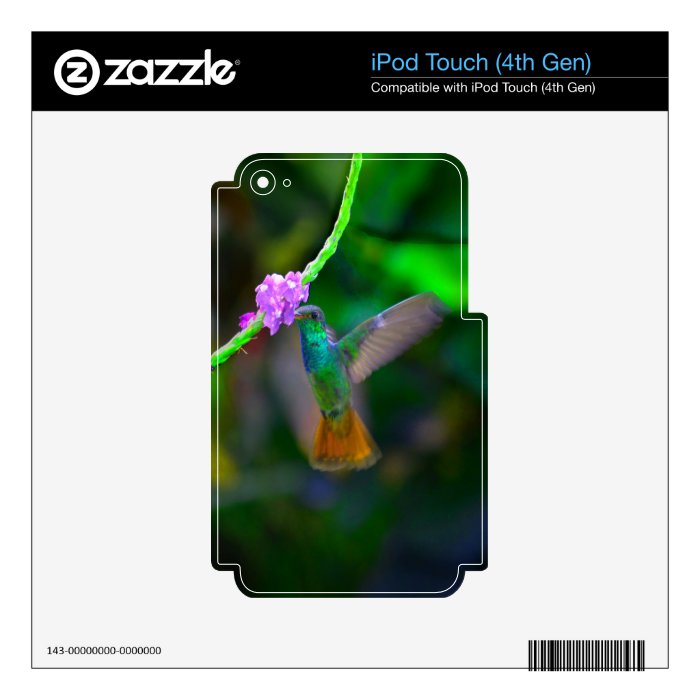 Hummingbird iPod Touch 4G Decals