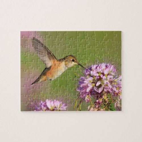 Hummingbird Jigsaw Puzzle