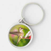 Hummingbird Key Chain Design #108A0605