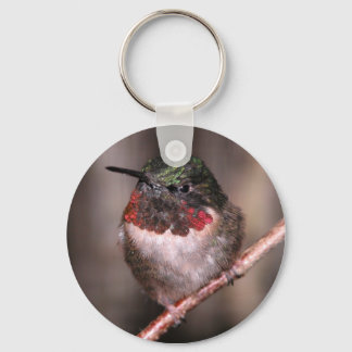 Hummingbird Keychain