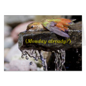 Hummingbird Laying in Water (Front Horizontal)