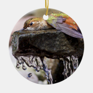 Hummingbird Laying in Water Ceramic Ornament