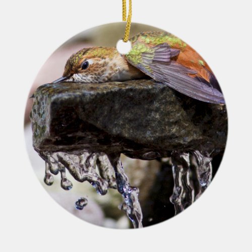 Hummingbird  Laying in Water Ceramic Ornament