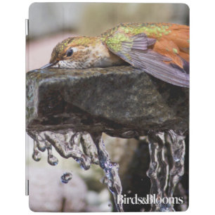 Hummingbird  Laying in Water iPad Smart Cover