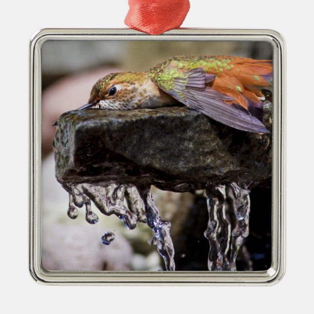 Hummingbird  Laying in Water Metal Ornament (Front)