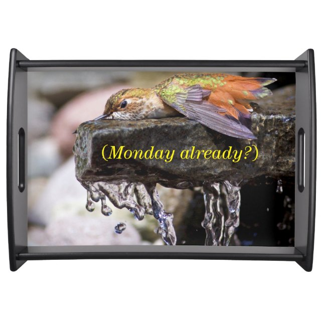 Hummingbird  Laying in Water Serving Tray (Front)