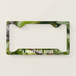 Hummingbird License Plate Frame